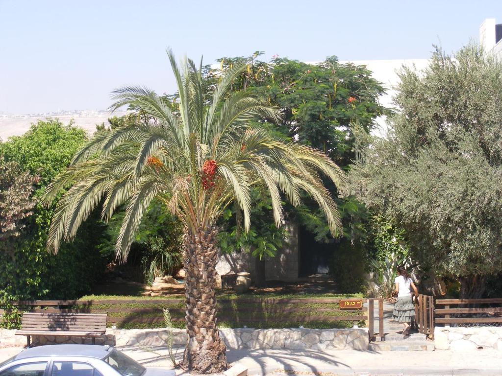 Nof Canaan Kfar Adumim Exteriér fotografie